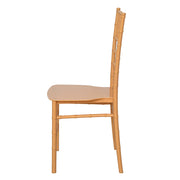 Gala-1 PP